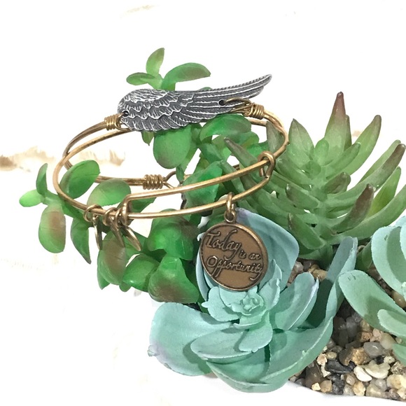 Alex & Ani with Luca + Danni Bracelet Bundle - Picture 1 of 2